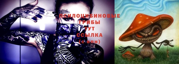 дживик Приозерск