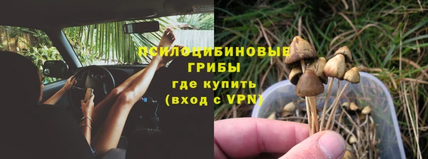 трава Абаза