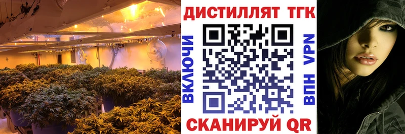 купить закладку  Карталы  Дистиллят ТГК Wax 
